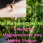 Conseils Infaillibles Pour éliminer Les Poils De Chat Des Vêtements Et Des Tissus
