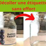 Des Oignons Frais Pendant Plus d’un Mois : L’Astuce Secrète Révélée !