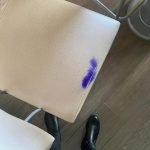 Débarrassez-vous des Mites Alimentaires Avec ces 18 Solutions