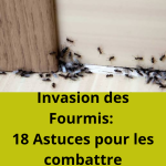 Comment Savoir si Mon Chat M’aime : 10 signes à repérer
