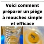 Des Oignons Frais Pendant Plus d’un Mois : L’Astuce Secrète Révélée !