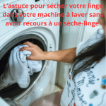 Comment Savoir si Mon Chat M’aime : 10 signes à repérer