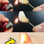 Le Zeste de Citron : Ne le Jetez Plus
