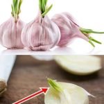 Comment Éliminer les Traces Blanches sur les Verres Blanchis : Astuces et Conseils