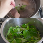 Repousser Naturellement les Chats de vos Plantes : Des Solutions Efficaces et Bienveillantes