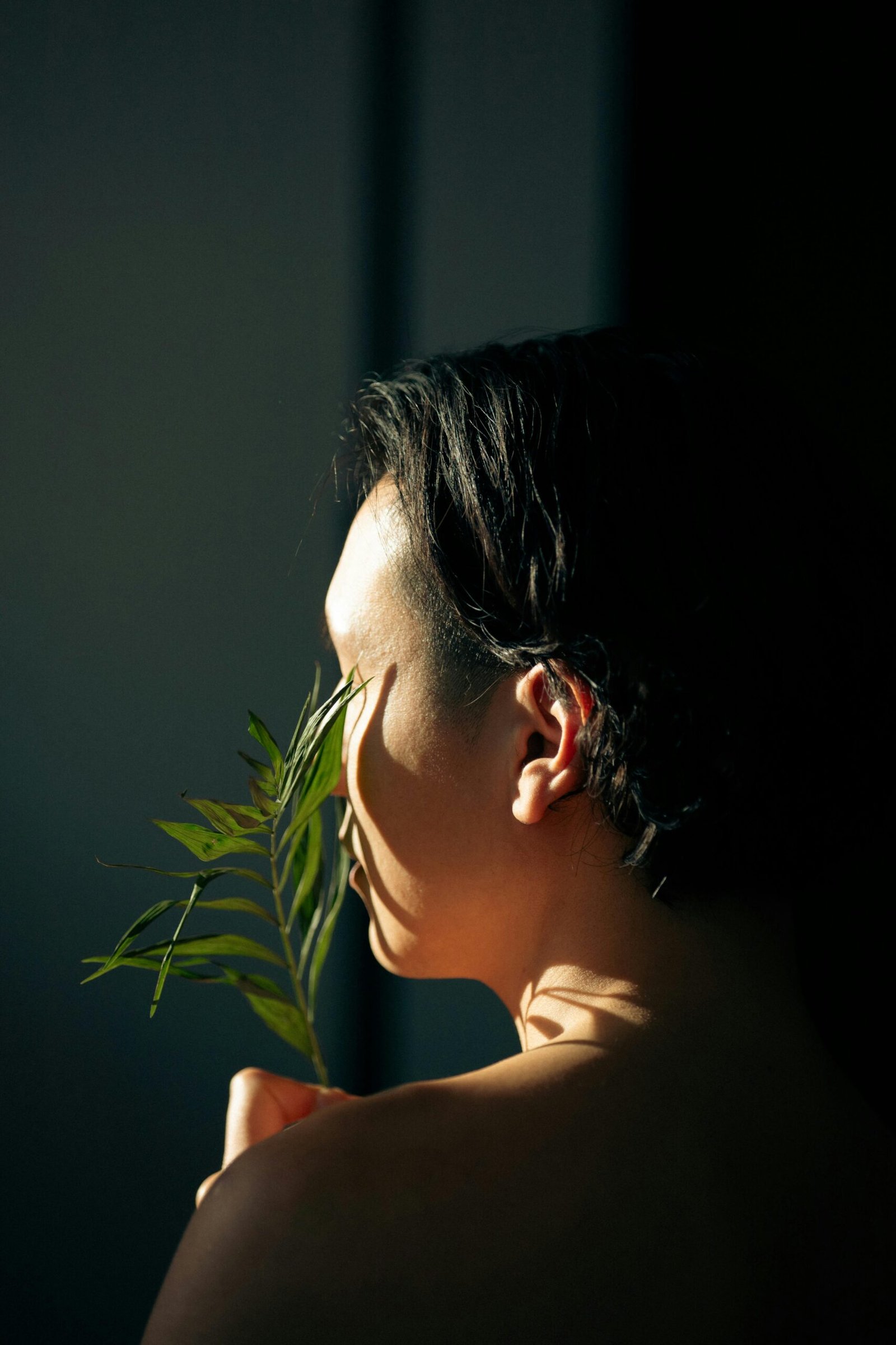 4 plantes dans votre chambre pour bien dormir