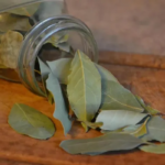 La Cuisine Estivale Revigorante : Découvrez le Monde Vibrant du Green Ajika