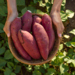 Astuces pour une Récolte Incroyable de Poivrons et de Tomates