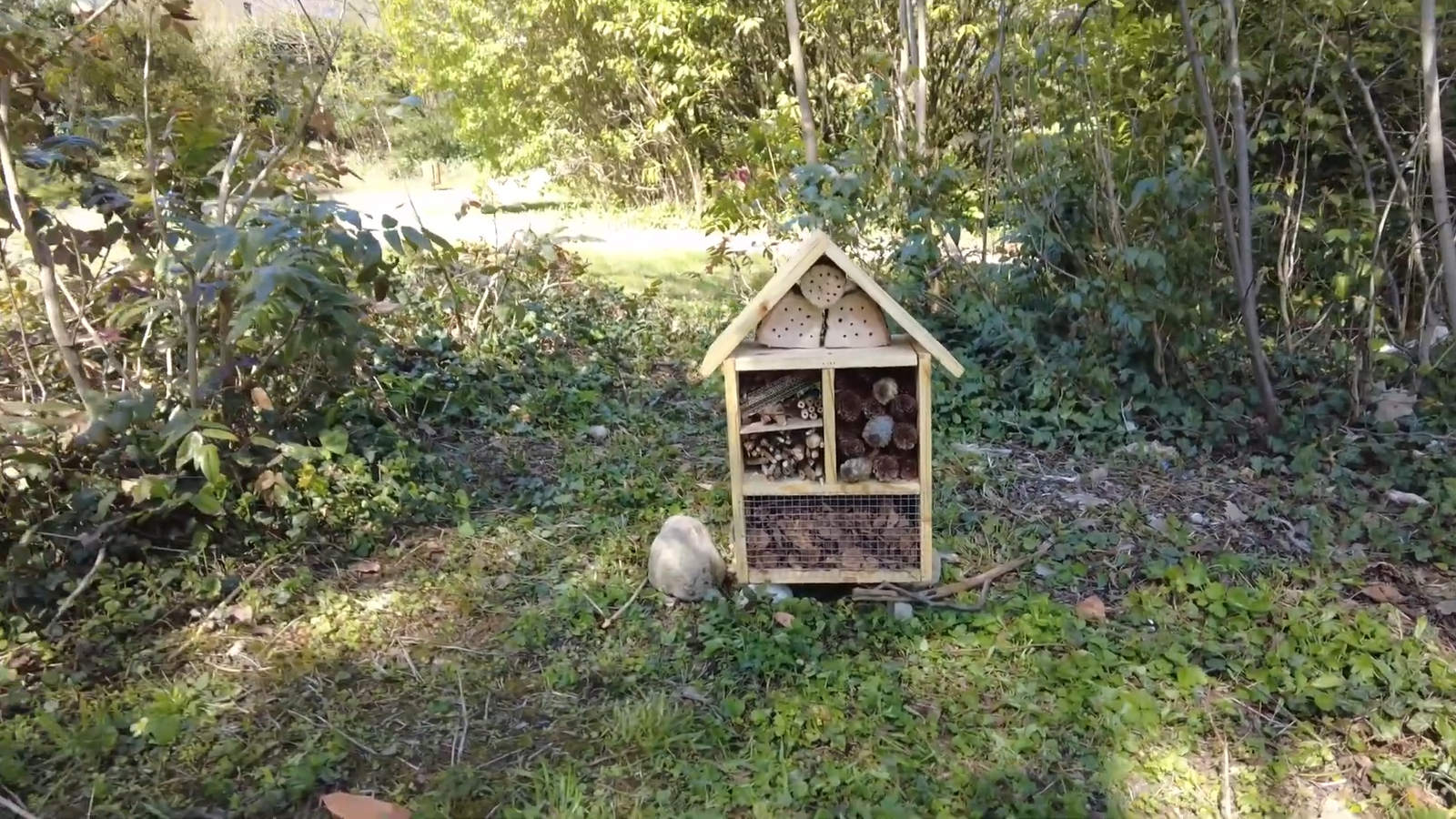 Construire un hôtel à insectes